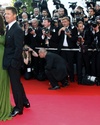 panda_cannes11.jpg