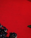 panda_cannes12.jpg